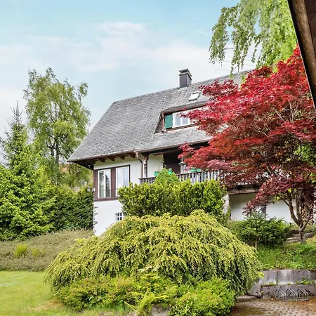 Hedwig Apartment Breitnau
