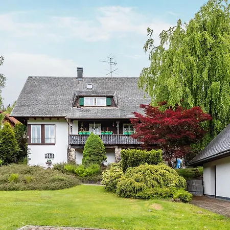 Hedwig Apartment Breitnau